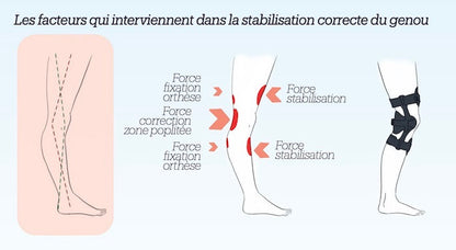 Ortesis de rodilla sueca para el control del genu recurvatum