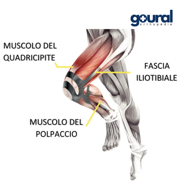 Rodillera con soporte propioceptivo con cinta adhesiva