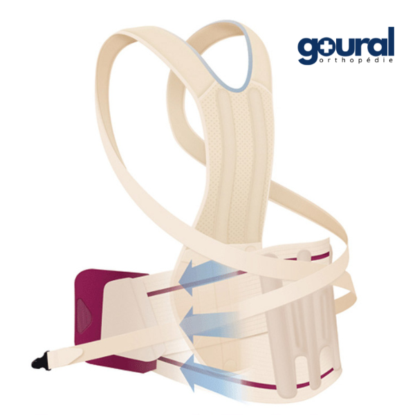 Adaptable dorsolumbar module for Evotec-dorso lumbar belt (without belt)